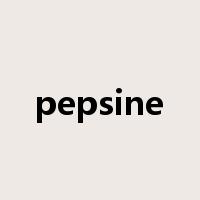 pepsine是什么意思