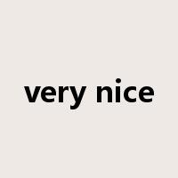 very nice是什么意思
