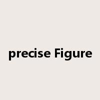 precise Figure是什么意思