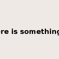 there is something in是什么意思