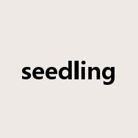 seedling是什么意思
