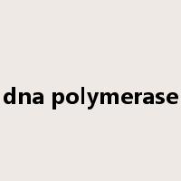 dna polymerase是什么意思