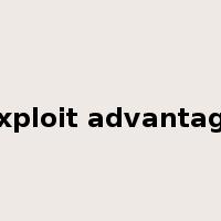 exploit advantage是什么意思