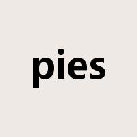 pies是什么意思