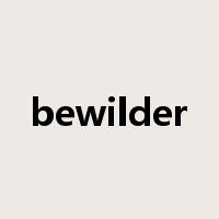 bewilder是什么意思