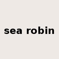 sea robin是什么意思