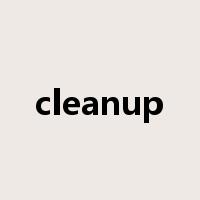 cleanup是什么意思