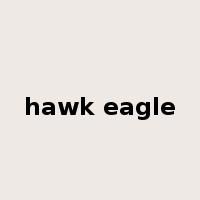 hawk eagle是什么意思