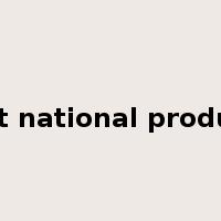 net national product是什么意思
