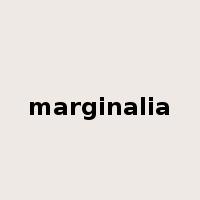 marginalia是什么意思