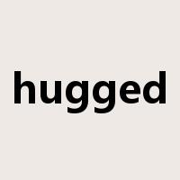 hugged是什么意思