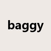 baggy是什么意思