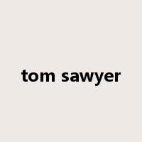 tom sawyer是什么意思