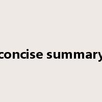 concise summary是什么意思