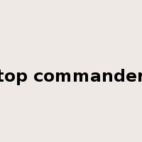 top commander是什么意思