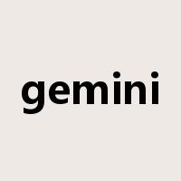 gemini是什么意思