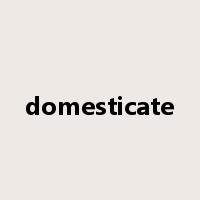 domesticate是什么意思