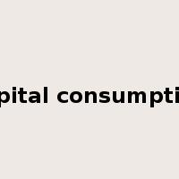capital consumption是什么意思