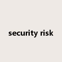 security risk是什么意思