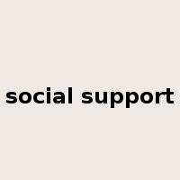 social support是什么意思
