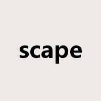 scape是什么意思