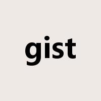 gist是什么意思
