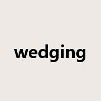 wedging是什么意思