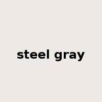 steel gray是什么意思