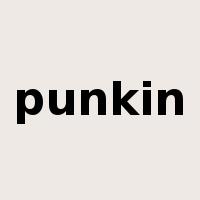 punkin是什么意思