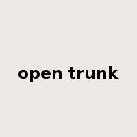 open trunk是什么意思
