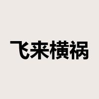 飞来横祸是什么意思