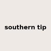 southern tip是什么意思