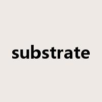 substrate是什么意思