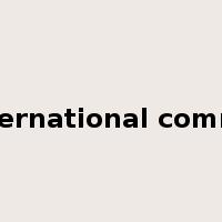 the international community是什么意思