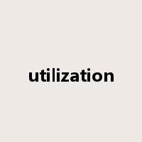 utilization是什么意思