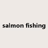 salmon fishing是什么意思