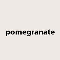 pomegranate是什么意思