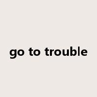 go to trouble是什么意思