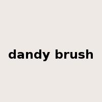 dandy brush是什么意思