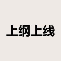 上纲上线是什么意思