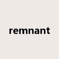 remnant是什么意思