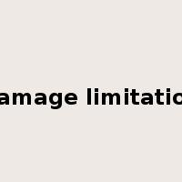 damage limitation是什么意思