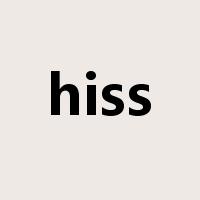 hiss是什么意思
