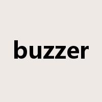 buzzer是什么意思