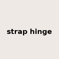 strap hinge是什么意思