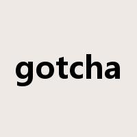 gotcha是什么意思