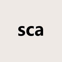 sca是什么意思