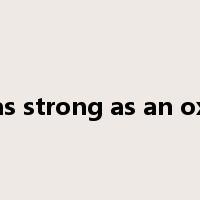 as strong as an ox是什么意思
