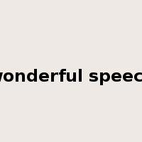 wonderful speech是什么意思