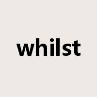 whilst是什么意思